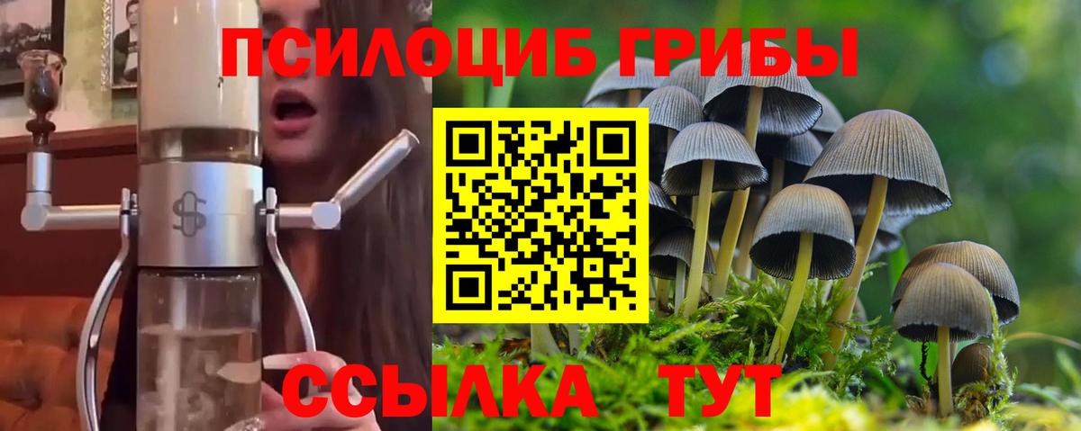Галлюциногенные грибы прущие грибы  Галлюциногенные грибы GOLDEN TEACHER  Магадан  Вход с VPN 